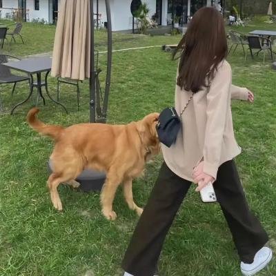 特警飞龙